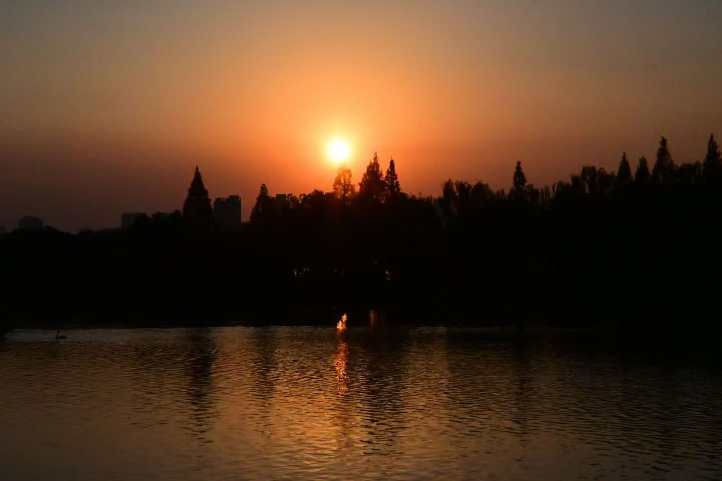 图片[4] - 在飞凤山下，把日子写成诗——刘日生与他的“半界流虹” - 浅染博客-浅染のBlog