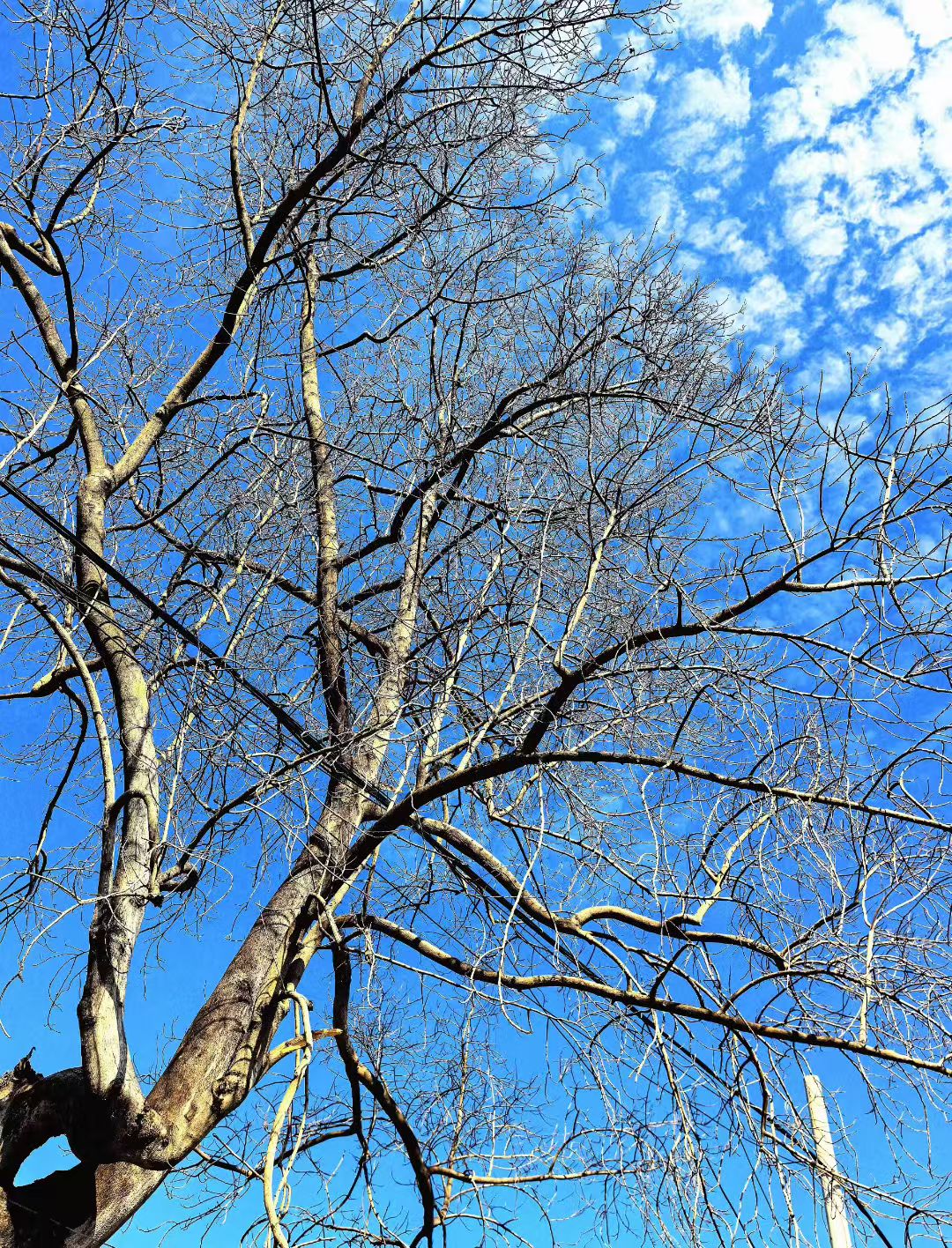 图片[2] - 在飞凤山下，把日子写成诗——刘日生与他的“半界流虹” - 浅染博客-浅染のBlog