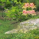 游侠进阶 如何掌握正确正确姿势