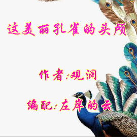 这美丽孔雀的头颅由雪之漫语斓清雅诵苑总创助理演唱(原唱:作者：观澜 编配：左岸的云)