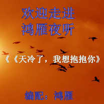 夜听《天冷了，我想抱抱你》制作：鸿雁(热度:11)由天郎翻唱，原唱歌手编辑制作：鸿雁