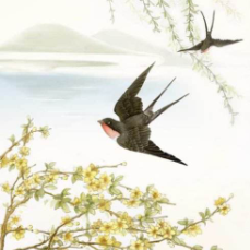 《春天的燕子》 作者：绿零宵雨 原唱是合成制作：雪域墨兰，由微笑翻唱(播放:14)
