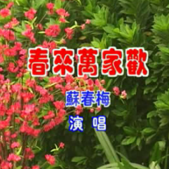 【春来万家欢】（调寄：柳摇金）原唱是苏春梅，由Ming翻唱(播放:62)