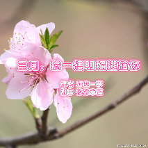 《三月，捻一缕明媚送给你》作者 红尘一梦 (热度:129)由温馨翻唱，原唱歌手制作 柠檬幸福