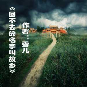 演唱歌手不系舟的头像