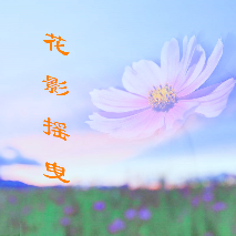 陈虹利（随迹回访）的Logo