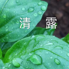 怡然【一品传媒】的头像