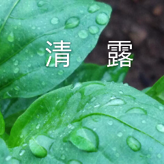 怡然【一品传媒】的头像