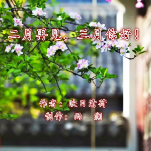 演唱歌手海子[歌诵汇]的头像