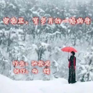 演唱歌手玉兒的头像