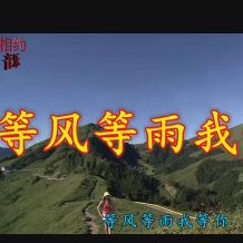 等风等雨我等你(热度:51)由雾里看花翻唱，原唱歌手花树/音乐走廊