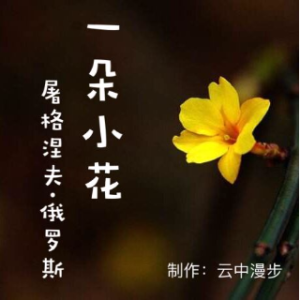 《一朵小花》-朗诵原唱是云中漫步，由张华翻唱(播放:27)