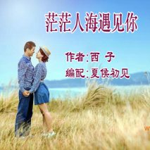 寒梅 茫茫人海遇见你
