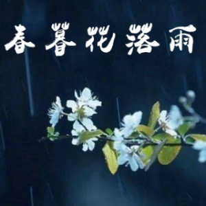 如一梦 春暮花落雨