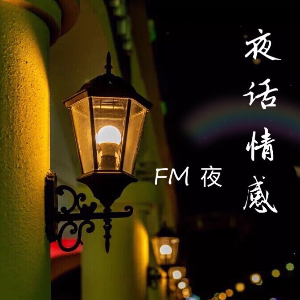 夜话情感—晚安(热度:63)由落木萧萧翻唱，原唱歌手夜