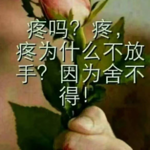 演唱歌手岟山红才女彩虹22徒李18314508943的头像