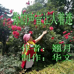 演唱歌手笨鸟先飞（雨佳）的头像