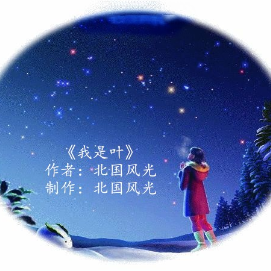 我是叶(热度:27)由阎平翻唱，原唱歌手北国风光