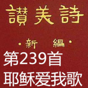 耶稣爱我歌【新编239首】(热度:22)由美丽相遇翻唱，原唱歌手新编赞美诗