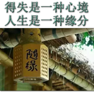 得失是一种心境 人生就是一种缘分(热度:21)由（静心）《南无阿弥陀佛》翻唱，原唱歌手制作 王老王