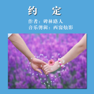 演唱歌手雨&虹的头像