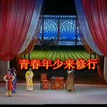 演唱歌手开心妹的头像