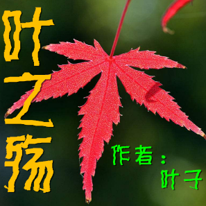 阿文的头像