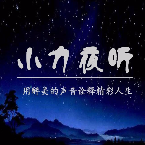 小力夜听：有些人 走着走着就散了(热度:13)由龙的传人翻唱，原唱歌手董小力