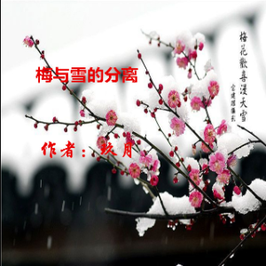 梅与雪的分离【小胡子】由竹影演唱(原唱:小胡子)