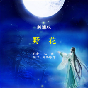 朗诵《野花》在线听(原唱是作者：心幽  制作：寒池冰月)，花语送春风演唱点播:27次