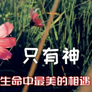 主 我愿追随你 伴奏版(热度:26)由幸福人生翻唱，原唱歌手主内肢体