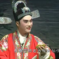 豫剧《抬花轿》回府来只觉得心神不定由星空演唱(原唱:原唱：王素君)