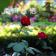 梦源的头像