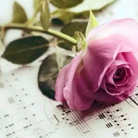 《今生，和懂你的人在一起》由秋爽居士演唱(原唱:作者：白兰花)