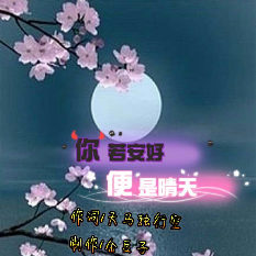 （静心）《南无阿弥陀佛》的头像
