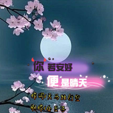 《你若安好便是晴天》(热度:108)由（静心）《南无阿弥陀佛》翻唱，原唱歌手作词/天马 制作/金豆子