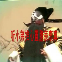 演唱歌手美丽焦点的头像