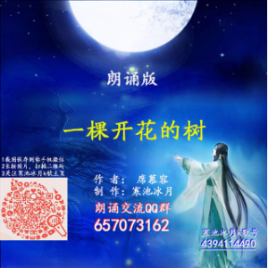 闽南网歌手刺綉紅玫瑰的头像