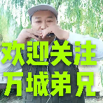 演唱歌手阳阳的头像