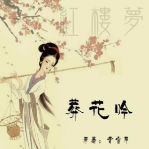 葬花吟由中国口哨～王仲安演唱(原唱:陈力)