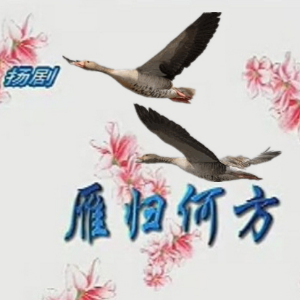 演唱歌手玉林的头像