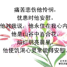 主如明亮晨星(热度:15)由美丽相遇翻唱，原唱歌手上传伴奏：佩剑