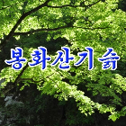 봉화산기슭(热度:36)由김춘영金春