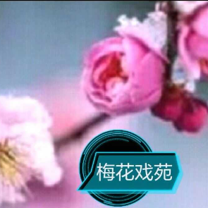 演唱歌手殷红妹的头像