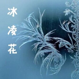 冰凌花——写给北方的那扇窗(热度:139)由暖 心翻唱，原唱歌手制作：纸鸢