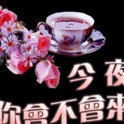 《今夜，你会不会来》(热度:18)由冰蓝蝶翻唱，原唱歌手碑林路人