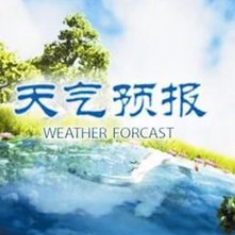 《天气预报》(热度:53)由冰苗苗翻唱，原唱歌手央视