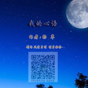 演唱歌手沈少文*〔羊洋眻〕的头像