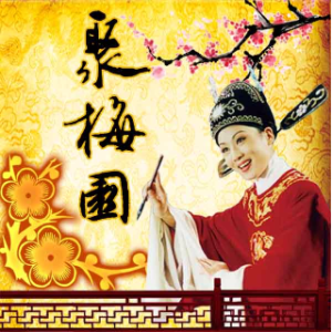 卖身纸由人到中年，老胡，望江人演唱(原唱:聚梅园)