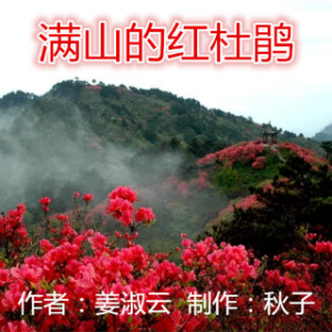 满山的红杜鹃由简韵演唱(原唱:姜淑云)_菊花爆满山歌词